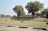 The archeologica excavations of the site of Sarnath 